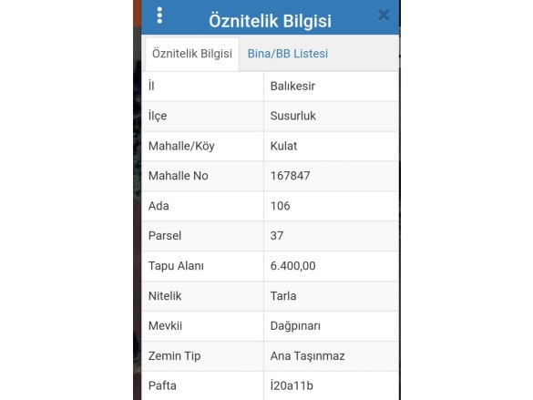 Kulat Mah. Susurluk Satılık Tarla |  8750M2 875.000Tl Resim-4