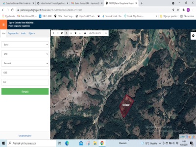 Bursa İznik Sansarak Köyü Mahallesinde İçinde Korusu Olan Satılık Tarla Mah