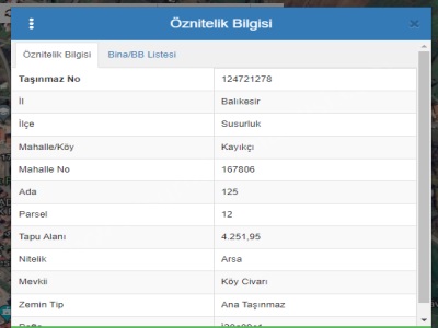 Susurluk Kayıkçı Mahallesinde Satılık Arsa Mah