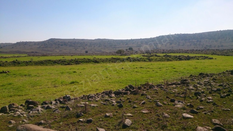 Seymenli Mah. Şehitkamil Satılık Tarla |  17250M2 5.000.000Tl Resim-2