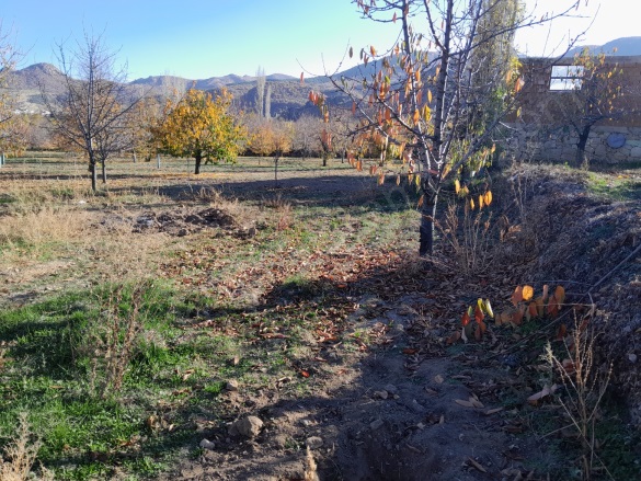 Çakır Mh. Afyon Satılık Bağ |  1488M2 11.000.000Tl Resim-4