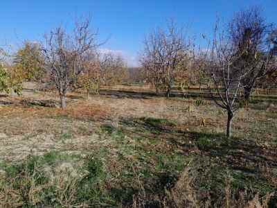  For Sale in  Turkey, Afyon, Downtown, Cakir Mh. , 1488 m2