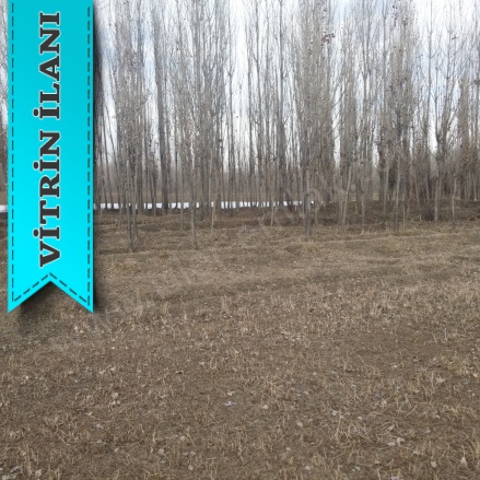 Çınarlı Mah. Erciş Satılık Tarla |  47000M2 4.739.000Tl Resim-1