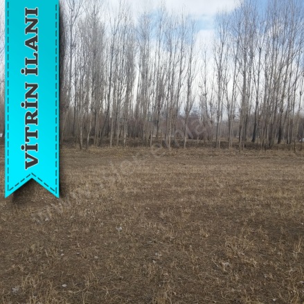 Çınarlı Mah. Erciş Satılık Tarla |  47000M2 4.739.000Tl Resim-2