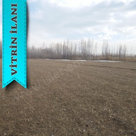 Çınarlı Mah. Erciş Satılık Tarla |  47000M2 4.739.000Tl Resim-4