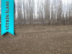 Erciş Çınarlı Mah. Satılık Tarla 47000 M2