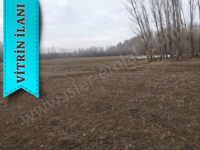 İfrazli Arsa Hesapli Satılık Parsel Van Erciş Çelebibağı Mah