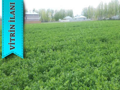 Yola Sifir15 Dunum Satılık Arsa Van Erciş Nişancı Mah