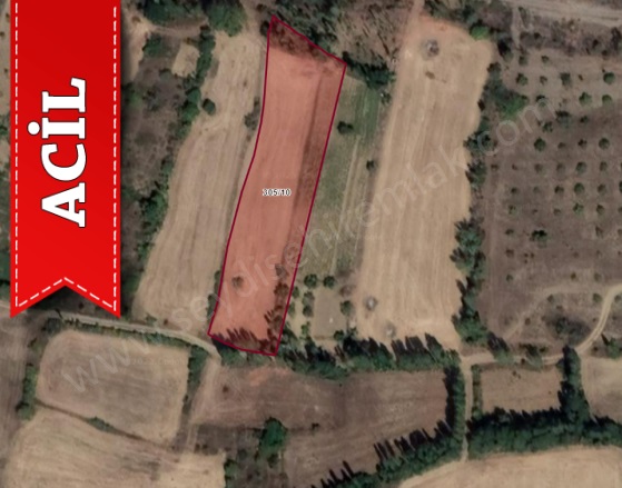 Gökçehüyük Mah. Seydişehir Acil Satılık Tarla |  3005M2 0Tl Resim-3