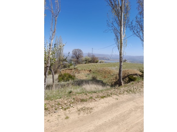 Taraşcı Mah. Seydişehir Satılık Tarla |  4180M2 0Tl Resim-3