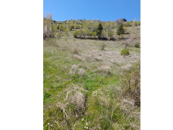 Taraşcı Mah. Seydişehir Satılık Tarla |  4180M2 0Tl Resim-5