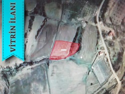 Seydişehir Bostandere Mah. Satılık Tarla 1385 M2