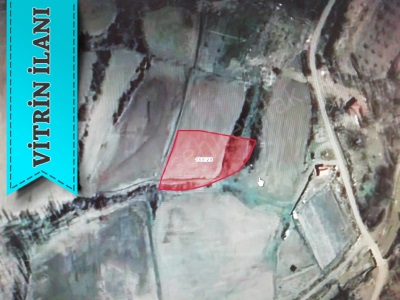 Bostandere De Satılık Tarla Konya Seydişehir Mah