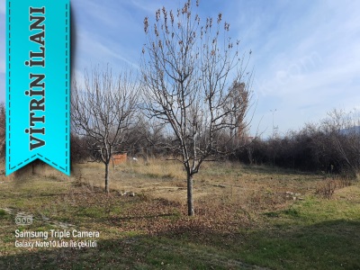 Ulukapı Mah Satılık Tarla Bahçe Konya Seydişehir