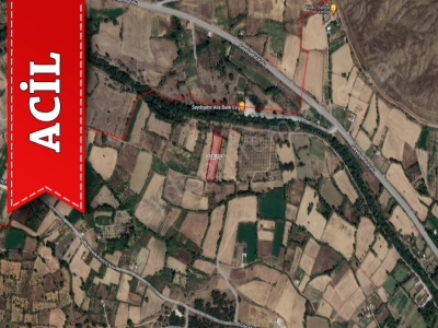 3005 M2 Gökçehüyük Acil Satılık Tarla Seydişehir Mah