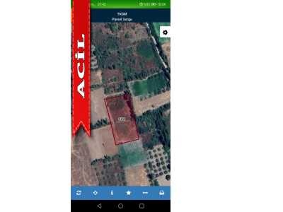 Boyalı Mah Acil Satılık Bağ Gayrimenkuller Seydişehir