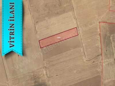 Kavak Mahallesi 5 Bin M2 Satılık Tarla Seydişehir Mah