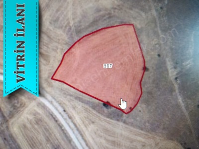 Muradiye Mah Satılık Tarla Konya Seydişehir