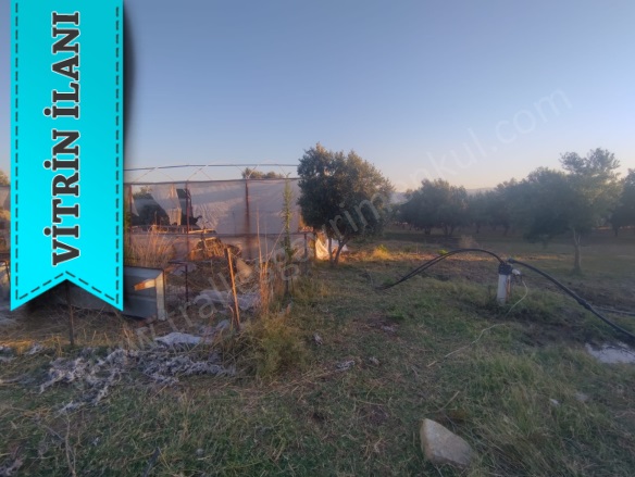 Karahayıt Mah. Çine Satılık Arazi |  13500M2 6.750.000Tl Resim-2