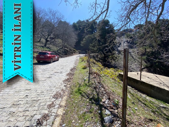 Zeytinköy Mah. Efeler Satılık Tarla |  5960M2 6.300.000Tl Resim-2