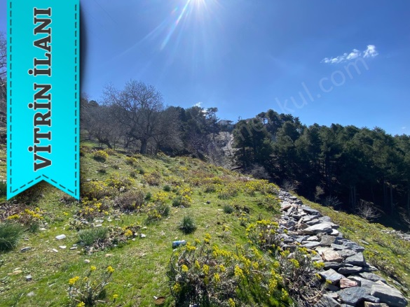 Zeytinköy Mah. Efeler Satılık Tarla |  5960M2 6.300.000Tl Resim-3