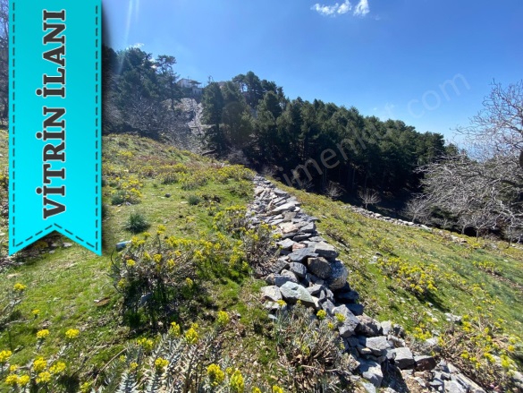 Zeytinköy Mah. Efeler Satılık Tarla |  5960M2 6.300.000Tl Resim-4