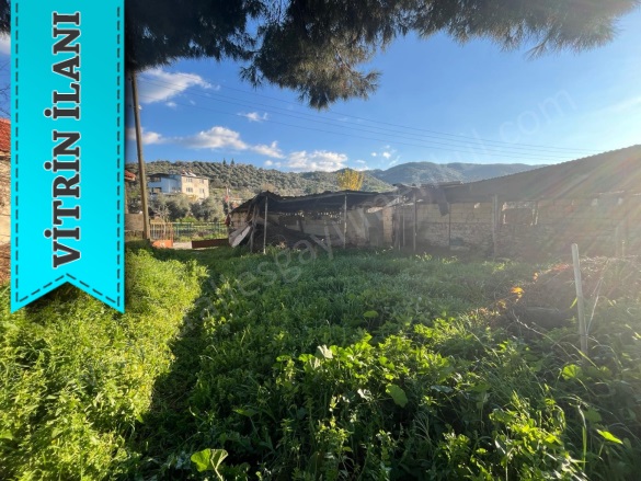 Cincin Mah. Koçarlı Satılık Müstakil Ev |  997M2 4.950.000Tl Resim-1