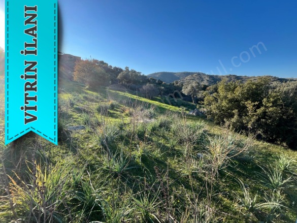 Cincin Mah. Koçarlı Satılık Arazi |  1090M2 1.850.000Tl Resim-1