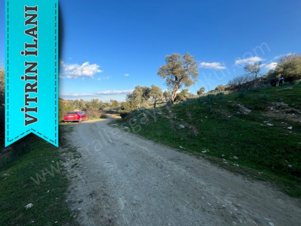 Cincin Mah. Koçarlı Satılık Arazi |  1090M2 1.850.000Tl Resim-2