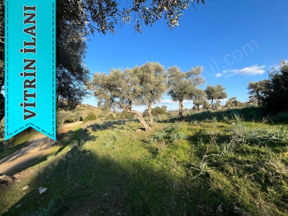 Cincin Mah. Koçarlı Satılık Arazi |  1090M2 2.100.000Tl Resim-3