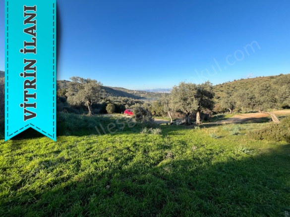 Cincin Mah. Koçarlı Satılık Arazi |  1090M2 1.850.000Tl Resim-4