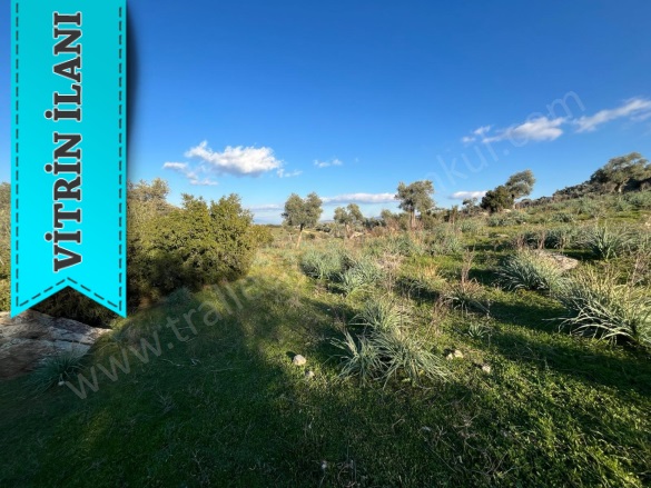 Cincin Mah. Koçarlı Satılık Arazi |  1090M2 1.850.000Tl Resim-5