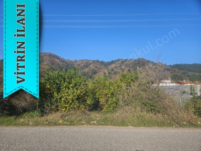 Tralles Gayrimenkulden Ortacada Satılık Arsa : Ekşiliyurt Mah