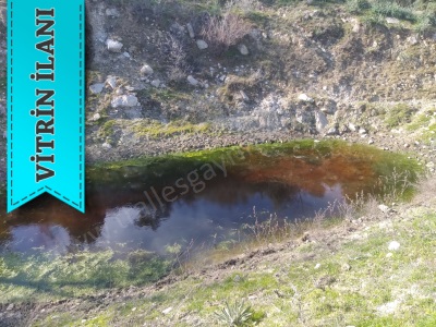 Tralles Gayrimenkulden Yenipazar Çavdarda Satılık Arazi Zeytinlik: Çavdar Mah