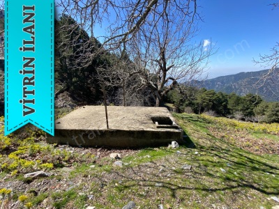 Tralles Gayrimenkulden Paşayaylasında Satılık Tarla 6 Dönüm Arazi: Efeler Zeytinköy Mah