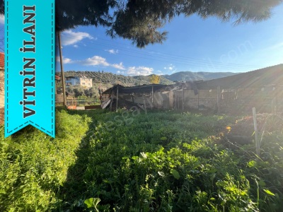 Tralles Gayrimenkulden Cincinde Satılık Müstakil Ev Köy Evi: Koçarlı Cincin Mah