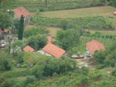 Satılık Çiftlik Evi + Üzüm Bağı Şehir Merkezi Dobrskoselo