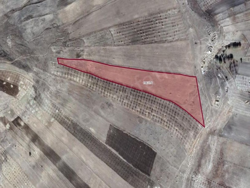 Malatya Hekimhan Kurşunlu Köyü Satılık Tarla 35.410m²