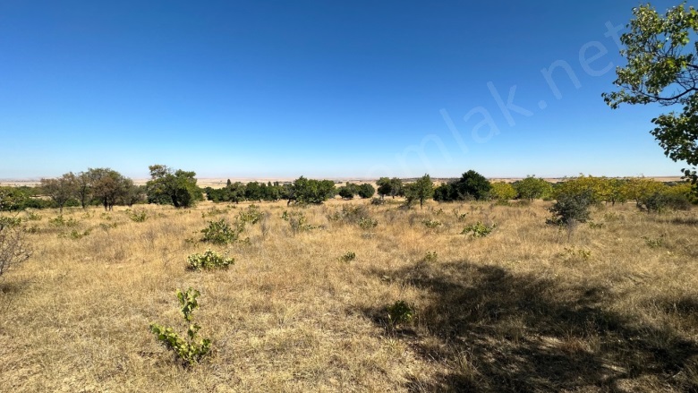 Köşektaş Köyü Hacıbektaş Satılık Bağ |  1188M2 275.000Tl Resim-4