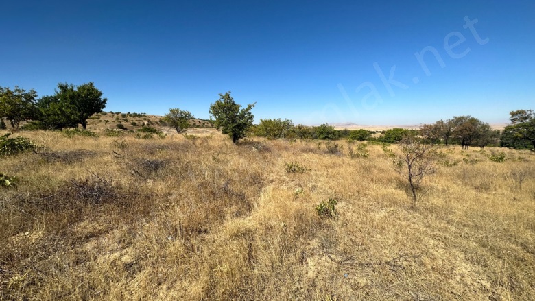 Köşektaş Köyü Hacıbektaş Satılık Bağ |  1188M2 275.000Tl Resim-5