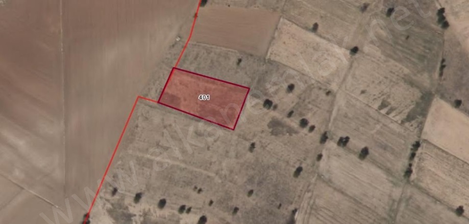 Hasanlar Köyü Hacıbektaş Satılık Bağ | 225.000Tl Resim-1