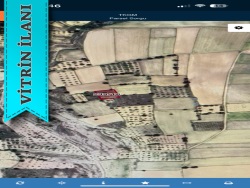 Hacıbektaş Köşektaş Köyü Satılık Bağ 1188 M2