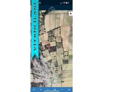 Vıal Nevsehır Hacıbektas Kosektas 1 188M2 Tek Tapu Bag Satılık Bağ Hacıbektaş Köşektaş Köyü