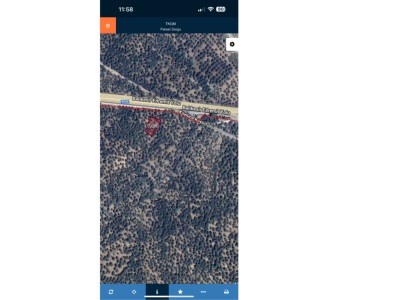 Vial Balikesir Havranda Ana Caddeye Yakın 1320M2 Zeytinlik Satılık Arsa Köylüce Mah