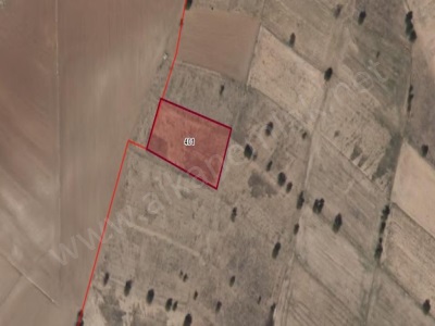 Vial Nevşehir Hasanlar Köyü 3000 M2 Satılık Bağ Hacıbektaş