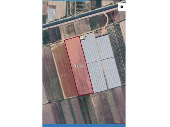 Serik Sarıabalı Da Satılık Tarla Mah