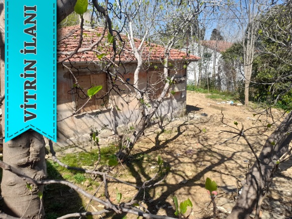 Paşabahçe Mah. Beykoz Satılık Müstakil Ev |  3+1 Oda | 746M2 16.000.000Tl | Müstakil | Soba | 1 Banyo | 2 Yatak Odası Resim-5