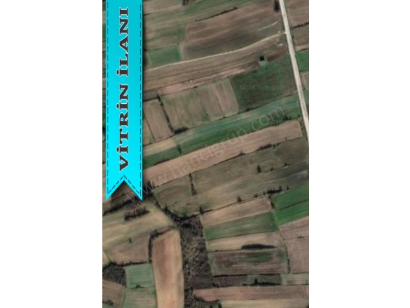 Yeşilova Köyü Pehlivanköy Satılık Tarla |  1850M2 1.850.000Tl Resim-2