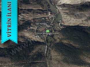 ALUCRA CAMLIYAYLA KÖYÜNDE SATILIK 5.008 M2 TARLA