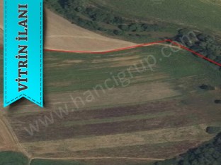 KIRKLARELİ PEHLİVANKÖY KURTULUŞTA MÜSTAKİL SATILIK 4.839 M2 TARLA